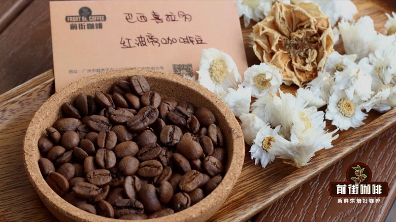 Premium Blends of Coffee Beans: A Ten-Year Recipe of Brazilian Cerrado and Colombian Whelan
