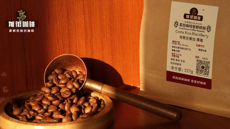 Recommendations for floral-flavored coffee beans: changes in cup feel caused by different roasting levels