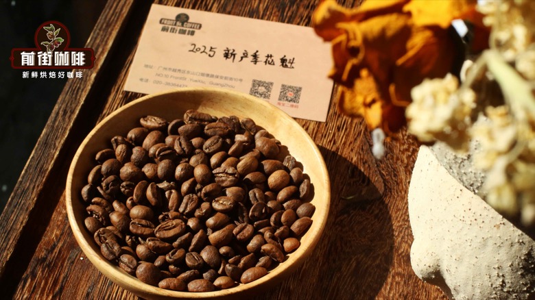 Should SOE use dark roasted beans or light roasted beans? How to determine the drinking window of a bean?