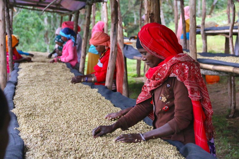 Recommended hand-brewed coffee beans with obvious sweetness and rich fruity aroma: start with flavor preference