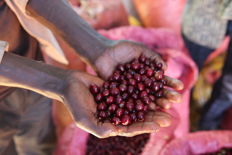 Recommend several Italian specialty coffee beans: start with flavor preference