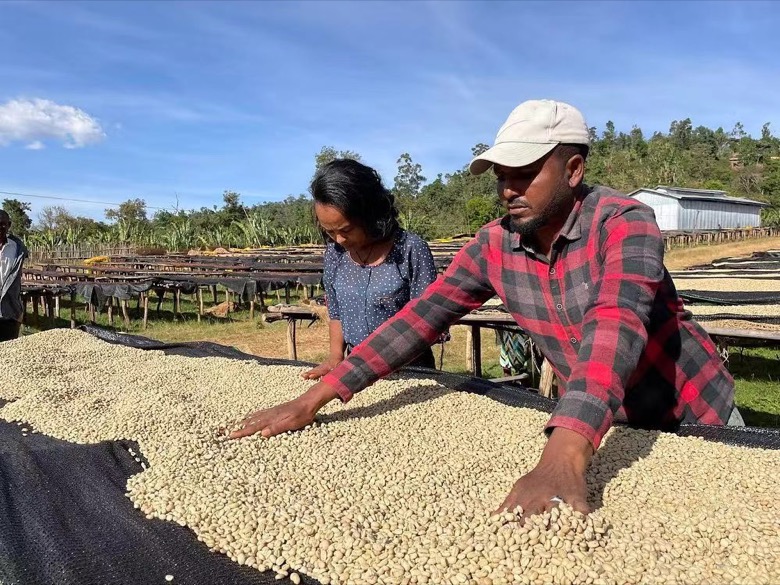 Guide to buying moka pot coffee beans with soft acidity: start with flavor preference
