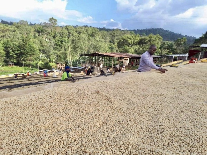Light roasted floral coffee beans: start with flavor preference