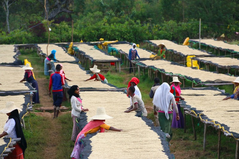 Floral and fruity coffee suitable for hand brewing: start with flavor preference