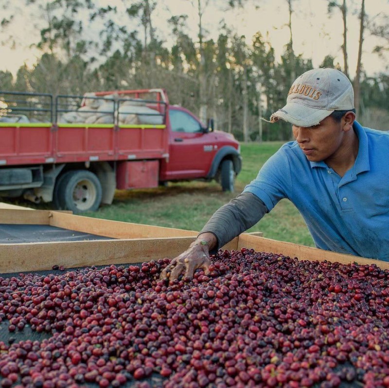 Choose low-caffeine hand-brewed beans according to drinking scene: from morning to night