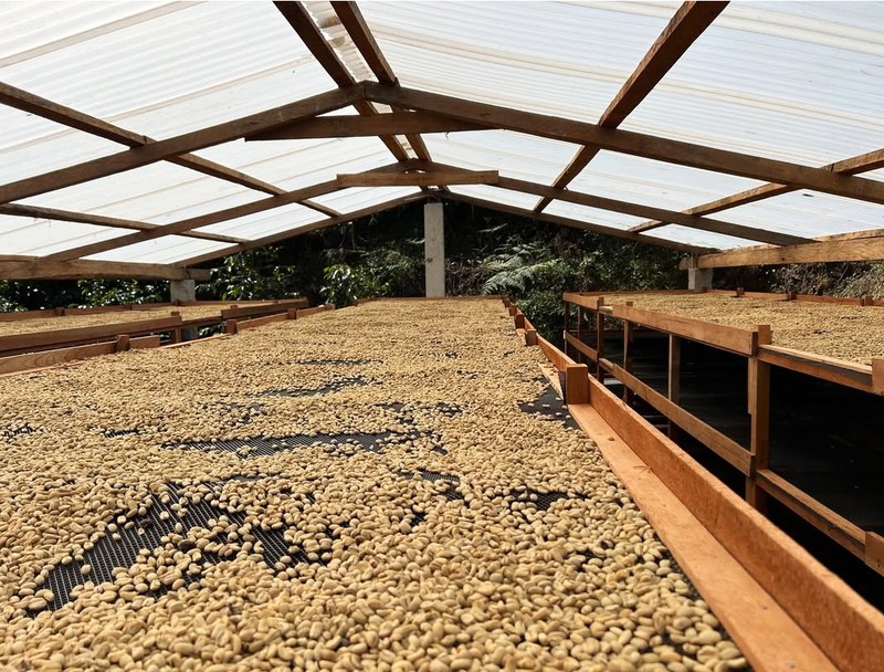 Choose nutty chocolate flavor coffee beans according to drinking scene