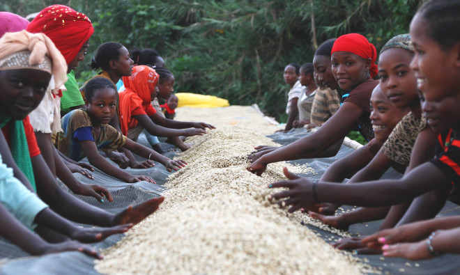 Home Americano coffee beans, selected according to daily drinking scenarios