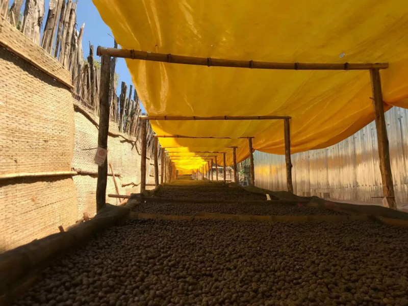 Select distinctive coffee beans according to drinking scenes