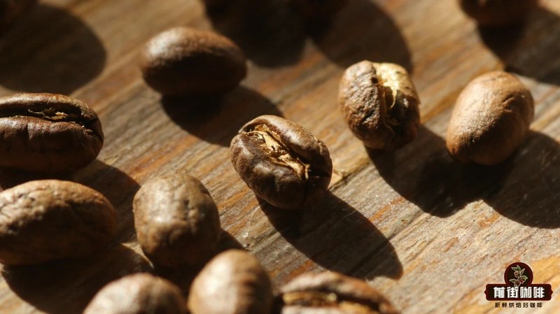 How to choose beans for cold brew: a guide for commuting, parties and slow drinking scenes
