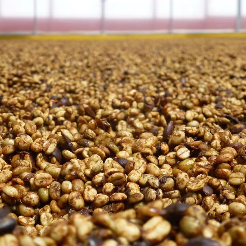 Floral and fruity coffee suitable for hand brewing, making it easier to choose beans according to the scene