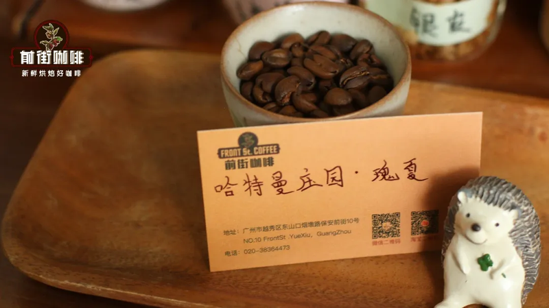 Hand-brewed beans for morning, desk and weekend drinking