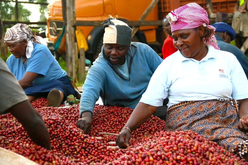 From breakfast to commute to night: choose the richest coffee beans