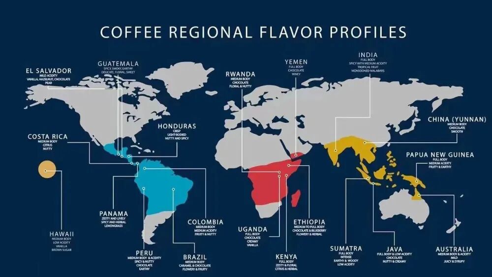 A must-see for coffee novices! Differences in flavor among the world’s three major production areas